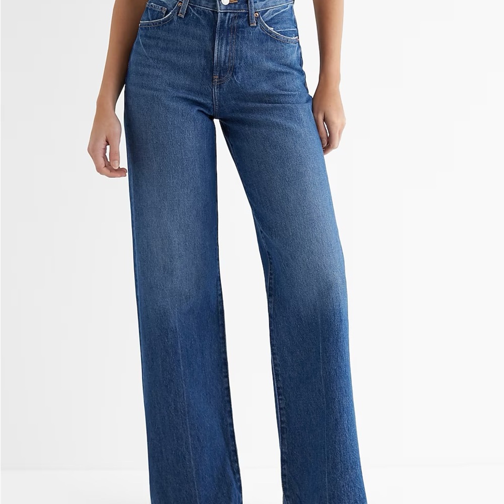 Express Blue Flare Wide Leg Jeans